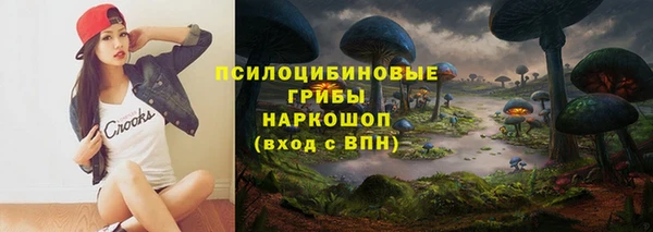 спайс Верея