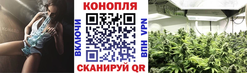 где продают   Сургут  Каннабис White Widow 